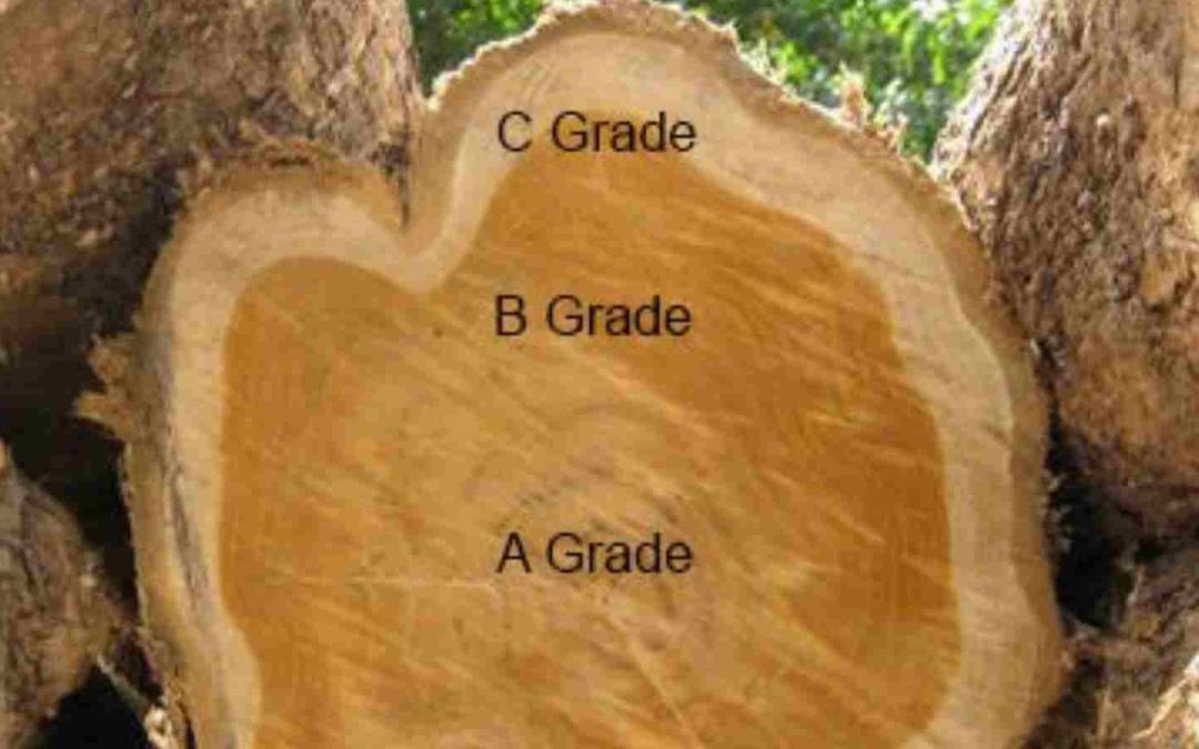 How to Even Out Uneven Teak Wood Color for Long-Lasting Exterior Finishing