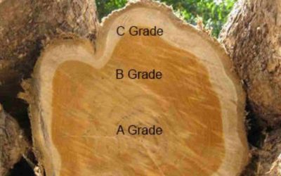 How to Even Out Uneven Teak Wood Color for Long-Lasting Exterior Finishing